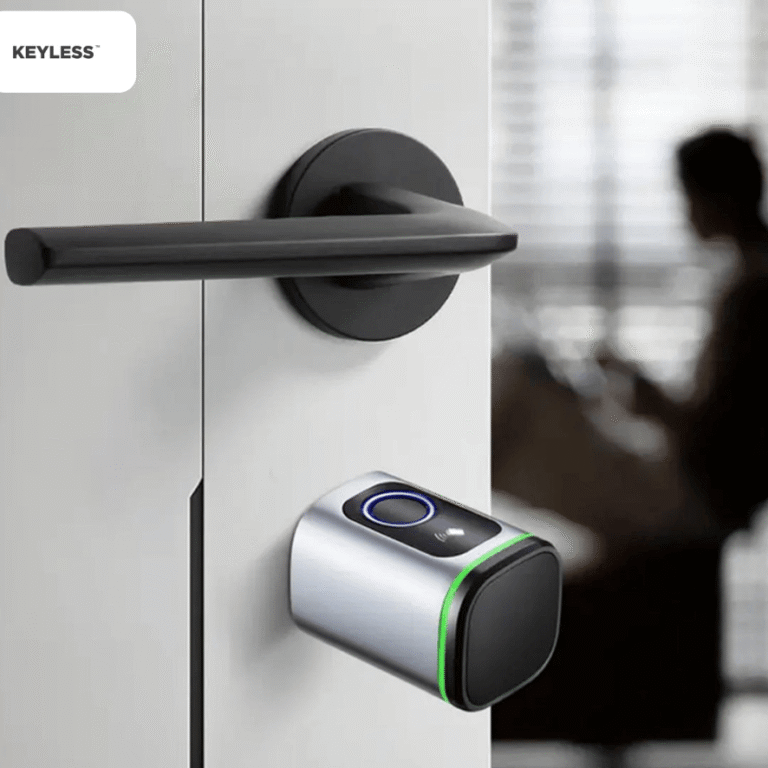 Untitled design - 2025-09-26T142443.553