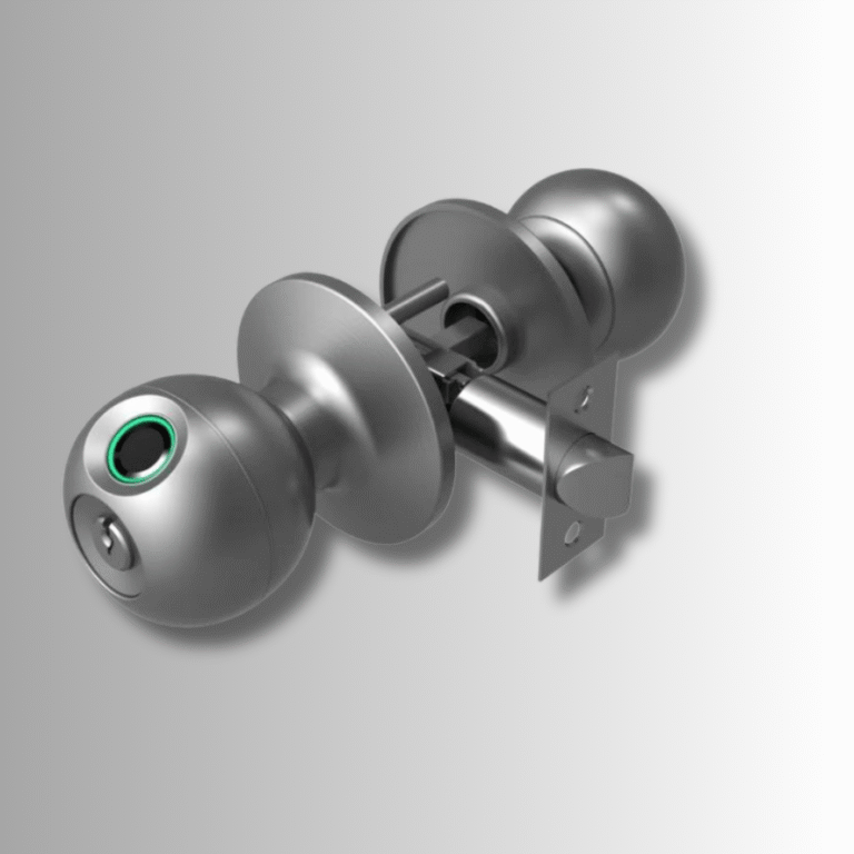 Untitled design - 2025-09-26T142601.528