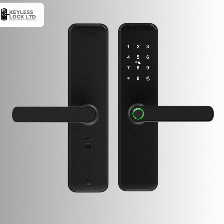 Untitled design - 2025-09-26T153815.678