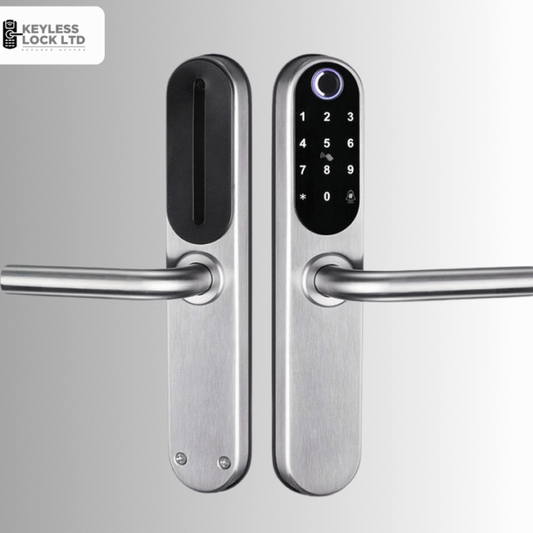 Untitled design - 2025-09-26T153842.379