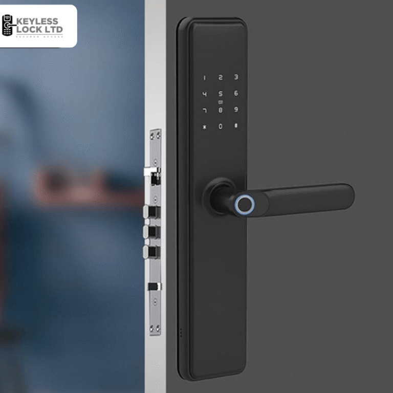 Untitled design - 2025-09-26T153951.445-Photoroom